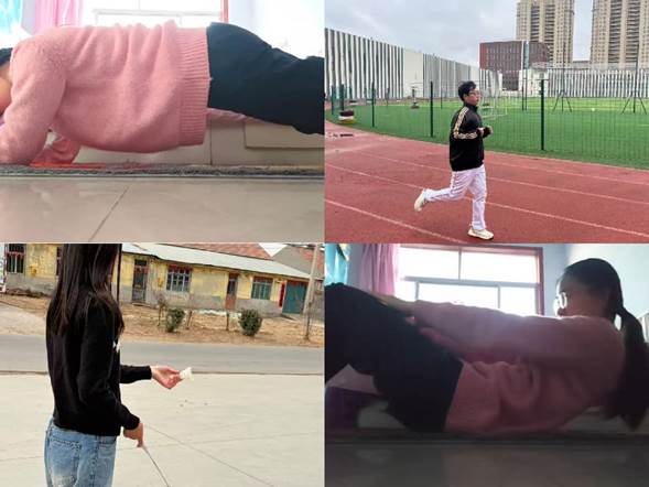 体育
